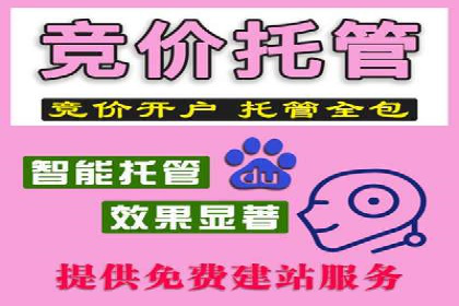 成功SEM投放案例分享